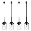4 Pack H-Type Track Lighting Pendants Black Ceiling Track Hanging Light Fixtures with Clear Glass Shades, Compatible with H Type Track Lighting Rail